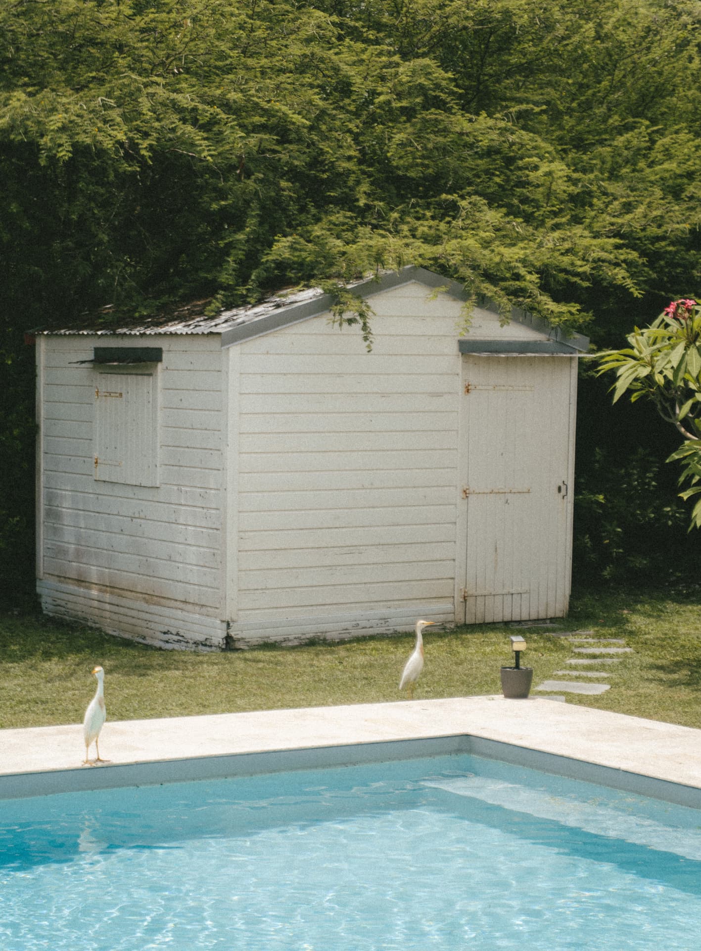 Villa Blue Lagoon — vue 14