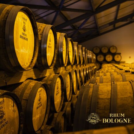 Visite de la distillerie Bologne